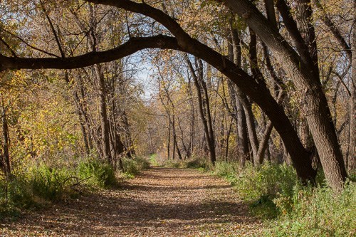 Fort Snelling Fall