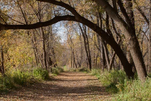 Fort-Snelling-Fall